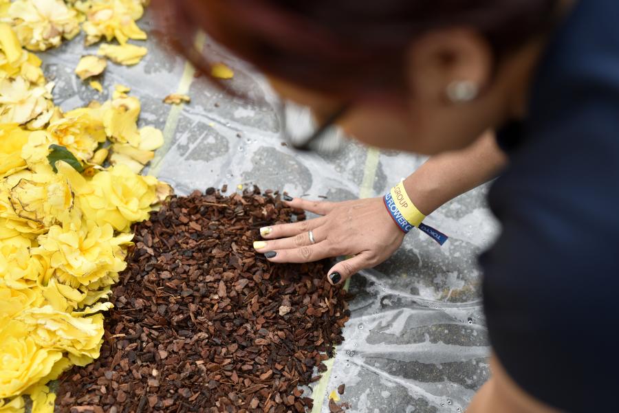 Flower carpet 2018