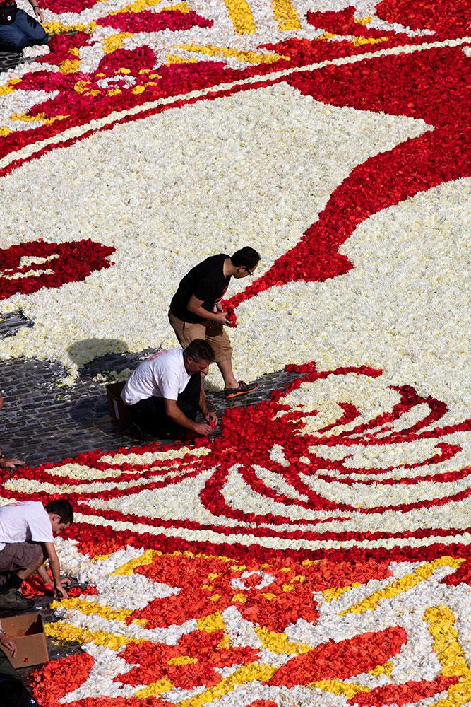 Flower carpet